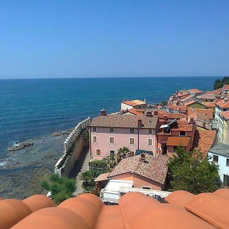 Apartments Edo Novigrad Istria Kültér fotó